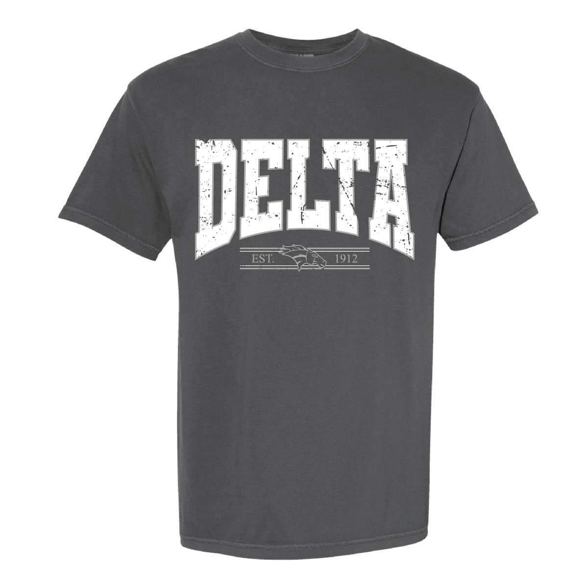DSS Vintage T Shirt in pepper with the distressed Delta print