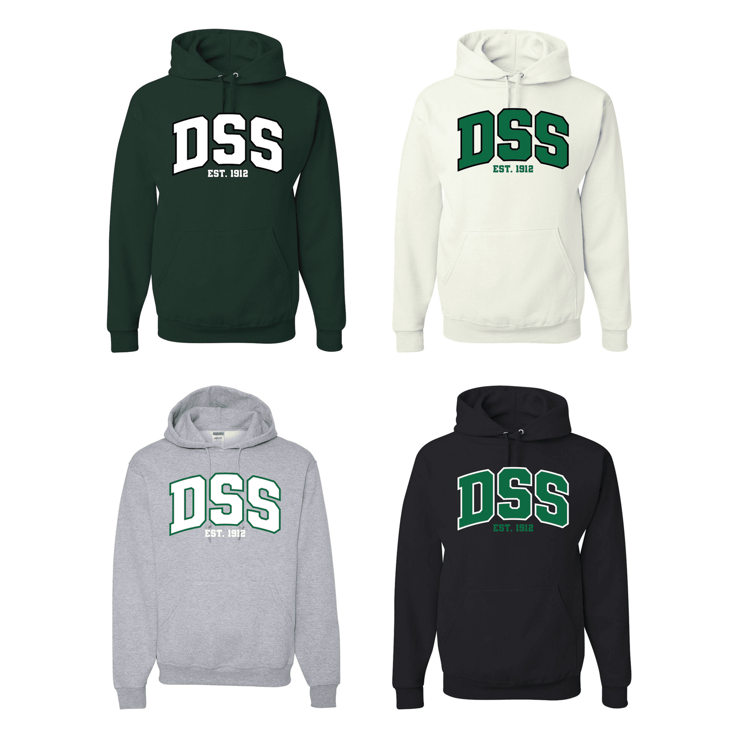 DSS Varsity Hoodie Delta Secondary School Pacer Wear pacerwear