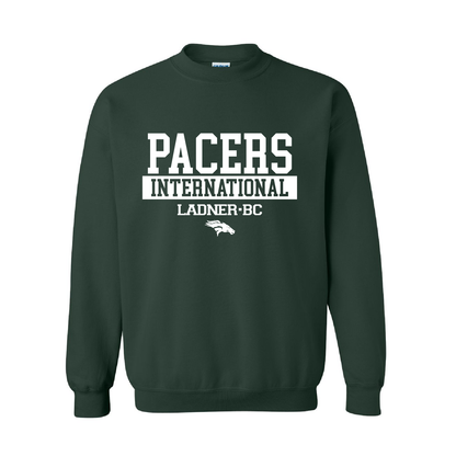 DSS Pacers International Merch